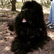 Превью фото № 183761