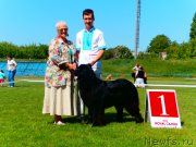 Превью фото № 183774