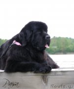 Превью фото № 183815