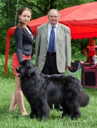 Превью фото № 183828