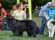 Превью фото № 183830