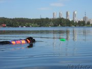 Превью фото № 183844