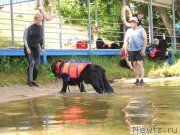 Превью фото № 183845