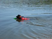 Превью фото № 183851