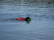 Превью фото № 183862