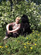 Превью фото № 183966