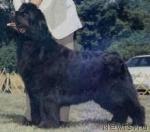 Превью фото № 1840