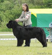 Превью фото № 184078