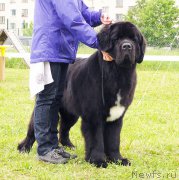 Превью фото № 184079