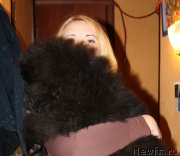 Превью фото № 184120