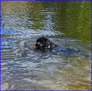 Превью фото № 184213