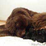 Превью фото № 184254