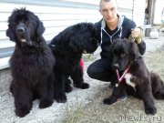 Превью фото № 184262