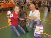 Превью фото № 184264