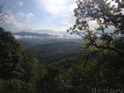 Превью фото № 184276