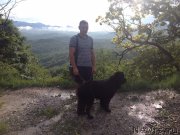 Превью фото № 184277