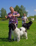 Превью фото № 184290