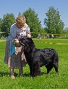 Превью фото № 184291