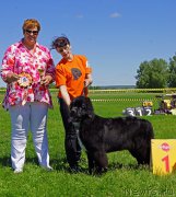 Превью фото № 184294