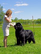 Превью фото № 184299