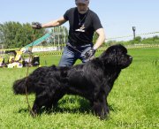 Превью фото № 184300