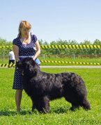 Превью фото № 184301