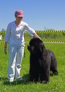 Превью фото № 184303