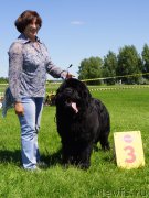 Превью фото № 184311