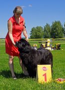 Превью фото № 184312