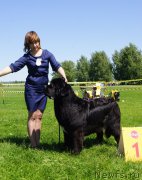 Превью фото № 184314