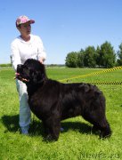 Превью фото № 184315