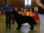 Превью фото № 184356