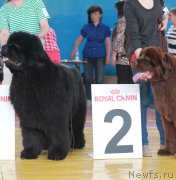 Превью фото № 184374