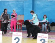 Превью фото № 184380