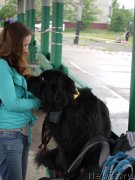 Превью фото № 184392