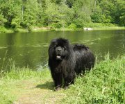 Превью фото № 184396