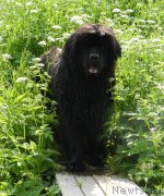 Превью фото № 184399