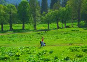 Превью фото № 184407