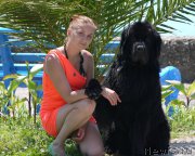 Превью фото № 184409