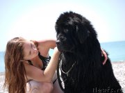 Превью фото № 184410