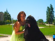 Превью фото № 184412