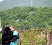 Превью фото № 184413