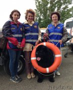 Превью фото № 184442