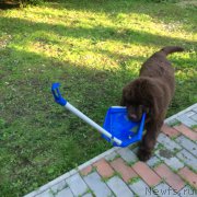 Превью фото № 184493