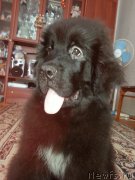 Превью фото № 184589