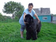 Превью фото № 184597