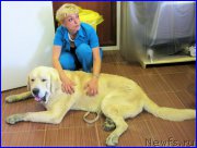 Превью фото № 184601