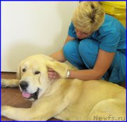 Превью фото № 184602