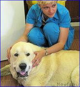 Превью фото № 184603