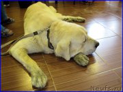 Превью фото № 184605